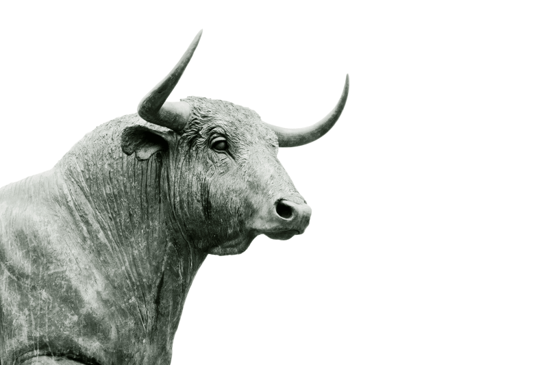 A Bull Market Hiding in Plain Sight? - The Opportunistic Trader