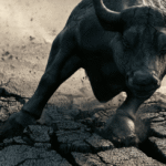 Stock Market Breadth Says Don’t Trust This Rally